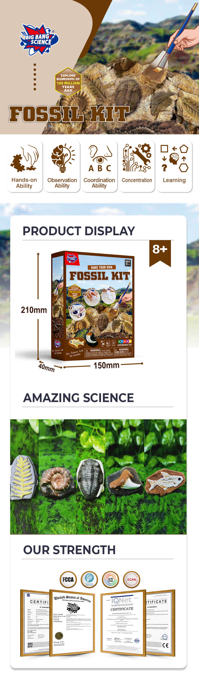 Fossil-Kit-Product-details-chart