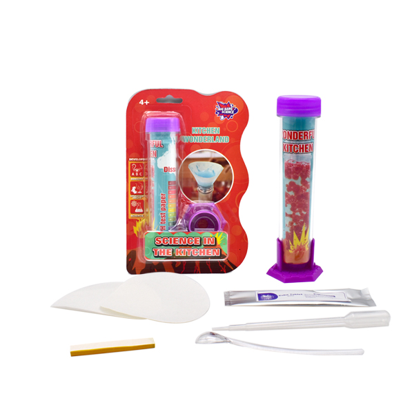 SCIENCE IN THE KITCHEN-test tube science lab kit