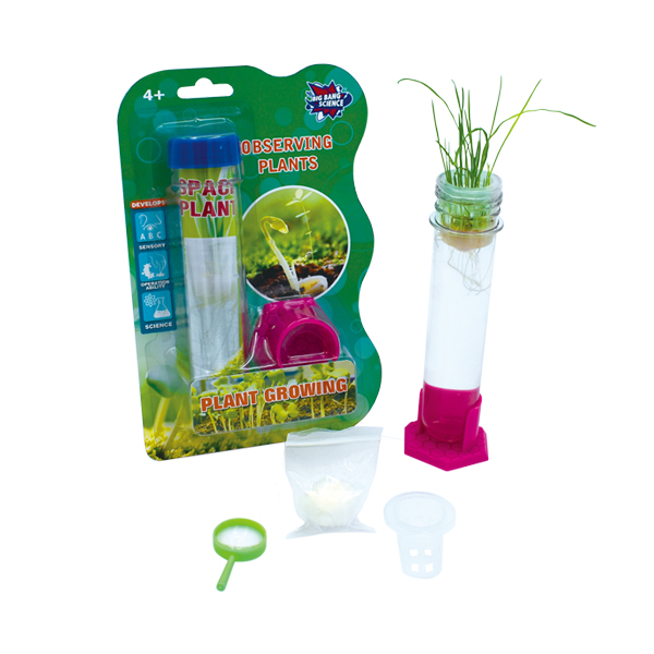 PLANT GROWING-test tube plants toys