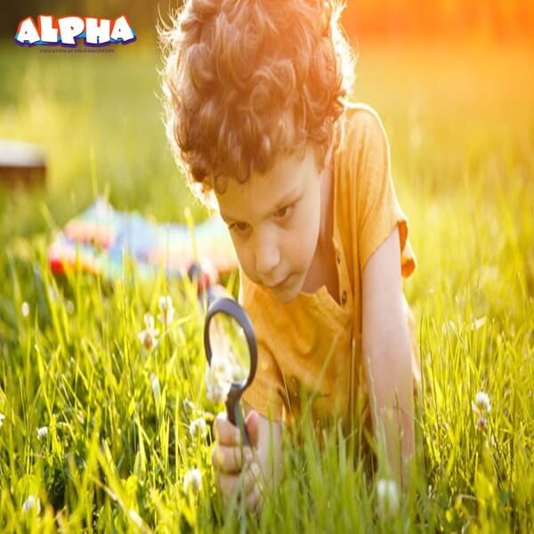  Alpha science classroom：8 Advantages of science experiment activities for children