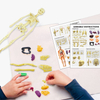 DIY Interactive Human Anatomy Model Science Kit