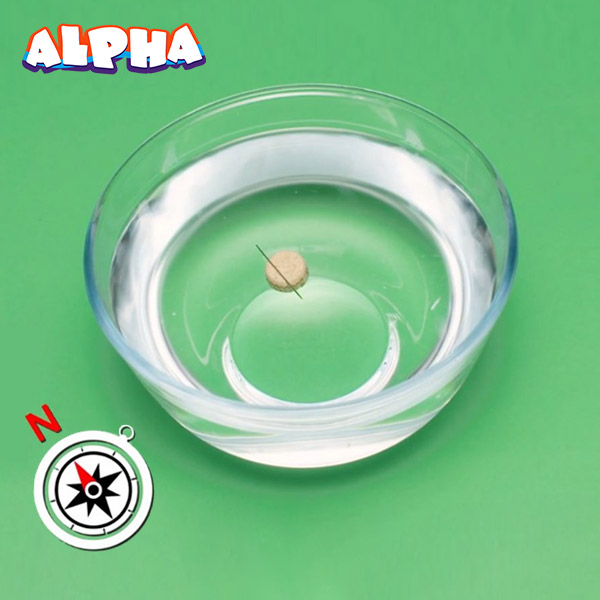 Alpha science classroom：How to DIY a simple compass