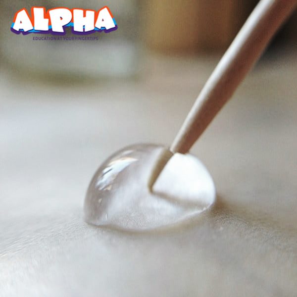 Alpha science classroom：Exploring the surface tension of water