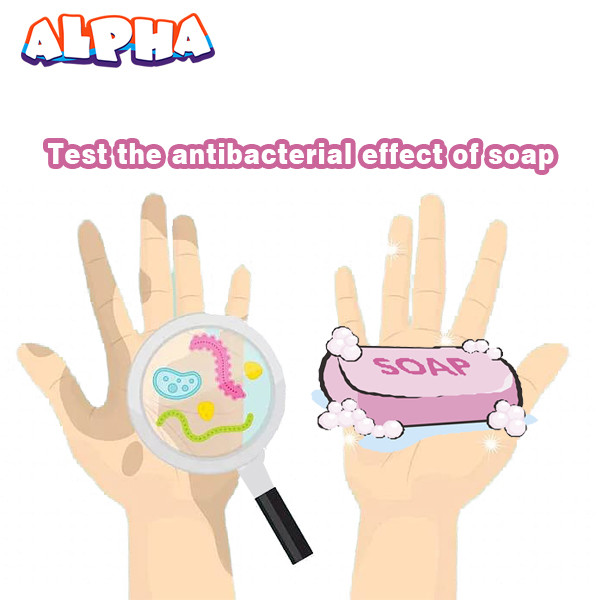 Alpha science classroom: Test the antibacterial effect of soap