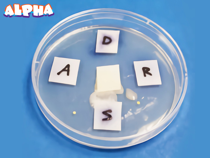 Alpha science classroom-science experiments for kids