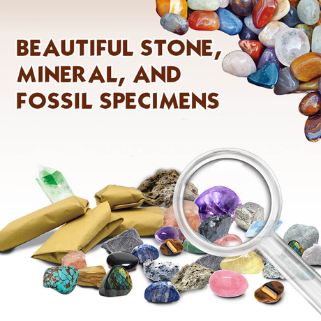  XXTOYS Rocks Collection 25PCS Rock and Mineral Education Set  Gemstones for Kids Geology Gem Kit with Healing Chakra Gemstones, Tumbled  Stones and More Identification Guide STEM Science Education : Toys 