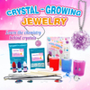 Crystal Growing Jewelry Kit