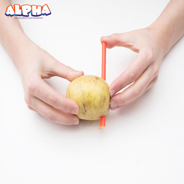 Alpha science classroom：Straw Potato
