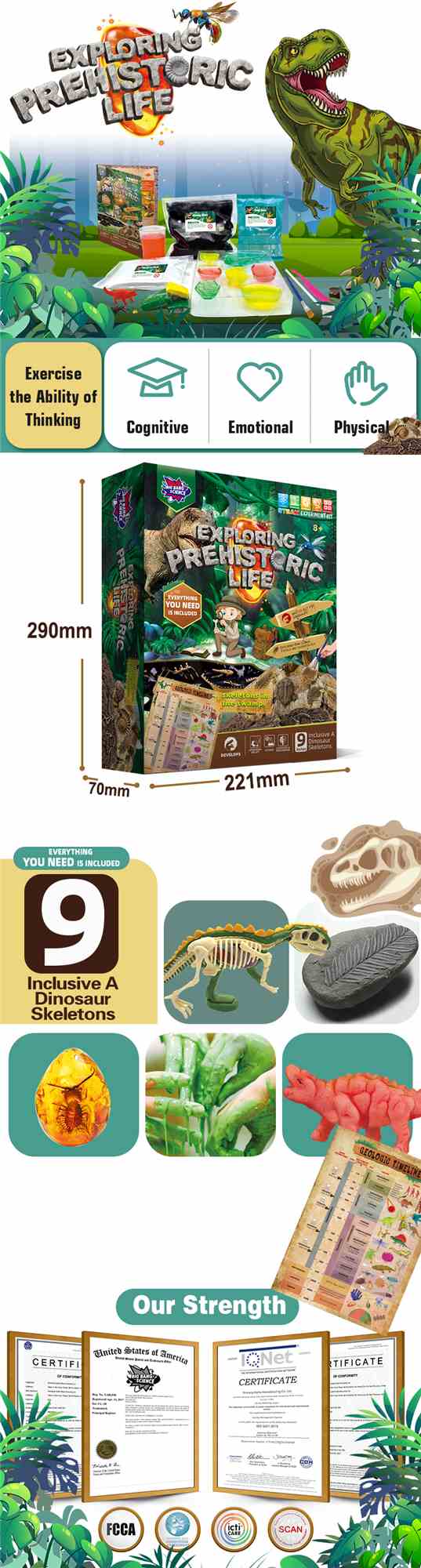 Exploring-Prehistoric-Life-Toys-Set-Product-Details-Chart