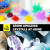 Mini Crystal Growing Kit 