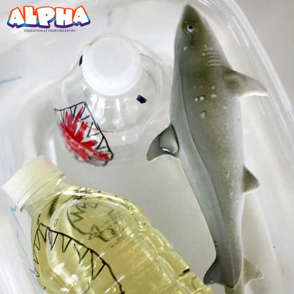 Alpha Science Classroom: How do sharks float?