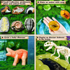 Exploring Prehistoric Life Toys Set
