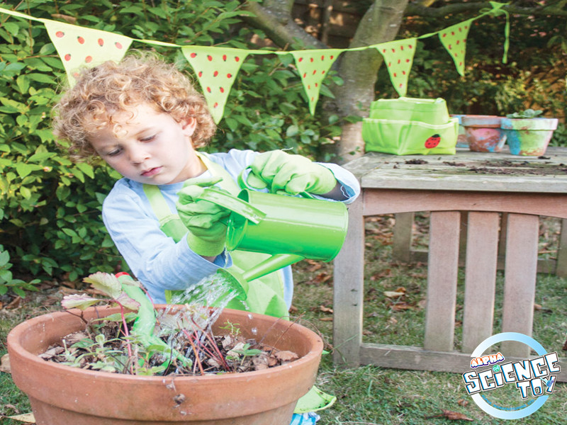 plant toys-kids planting kit