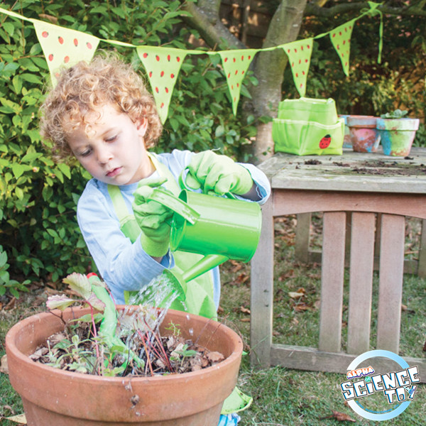 Alpha science toys: Green plant toys bring unlimited vitality to children