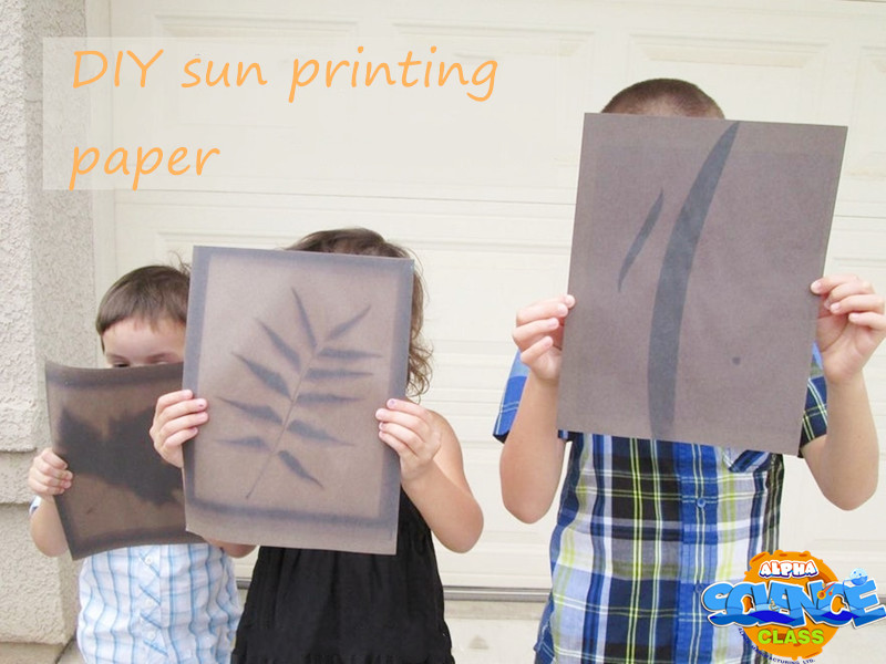 Sunlight printer picture800x600
